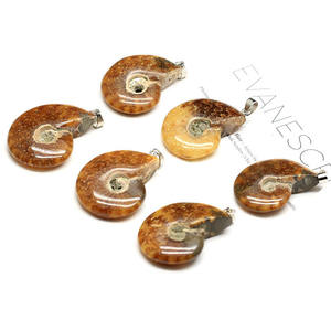 Collar de Fósiles de Caracol de Piedra Natural, Colgante de Concha, Piedra Semipreciosa, Regalo de Boda, Nuevo Cuidado DE LA <span class=keywords><strong>Piel</strong></span> - Product Image 1