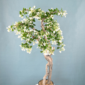 Plante artificielle de Cornus Florida (Dogwood) à fleurs luxuriantes avec tige et tronc réalistes pour la décoration d'hôtels, de jardins, de porches, de restaurants et de centres commerciaux - Product Image 4