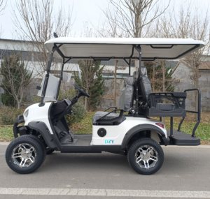 Voiturette de golf électrique 4 places, directement d'usine, nouveau design, 72V Lithium, roue de voiturette de golf 48V Evolution pour une chasse économe <span class=keywords><strong>en</strong></span> carburant - Product Image 6