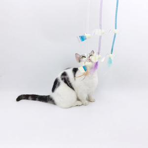 <b>Interactive</b> Plastic <b>Cat</b> <b>Toys</b> Anti-Bite Artifact Hose with Feather Long Rod Pet Teaser to Relieve Boredom - Product Image 1