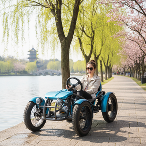 Quadricycle électrique tout-terrain à 4 roues, E-Trike à pneus larges, Quadricycle de tourisme - Product Image 2