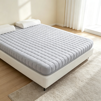 Surmatelas en mousse anti-acariens et anti-poussière, taille personnalisable, vente directe usine, hauteur sur mesure