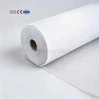 Rete in Fibra di Vetro AR 160g per Sistemi ETICS, Rete Anti-Crepa in Fibra di Vetro per Rinforzo Pareti EIFS, Produzione Cinese