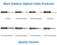 Câble Fibre Optique Chute FTTH 1 2 4 6 8 12 24 48 96 144 Brins Blindé Extérieur Anti-Rongeurs ASU ADSS GYFXTBY