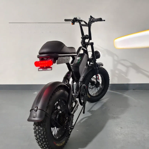 Bicicleta Eléctrica con Velocidad Máxima de 45 km/h, Motor de 500 W, Amortiguación Delantera, Llantas de 16*4.0, Alcance de 40 km, Resistente al Agua IPX5 con LED - Product Image 5