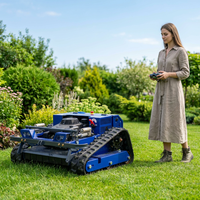 Tondeuses à gazon télécommandées à essence certifiées EPA, de 550 mm de largeur, avec capacité de montée à 45 degrés, pour la coupe de l'herbe – Nouveauté usine chinoise