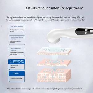 Alat Terapi Fisioterapi Pereda Nyeri Efektif Mesin <span class=keywords><strong>Ultrasound</strong></span> Portabel Genggam untuk Terapi Fisik - Product Image 5
