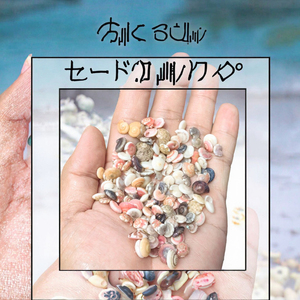 Hot Sale Mini Rainbow Conch <strong>Shells</strong> Polished Natural Seashell Love Theme Souvenir Decoration Handicraft - Product Image 3