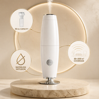 Diffuseur d'huiles essentielles pures de qualité supérieure, diffuseur d'arômes sans eau, rechargeable par type C, pour la maison