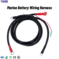 Faisceau de câblage de démarrage électrique pour moteur hors-bord marin 66T-82105-J1-00 PTFE/PBT/PVC, indice de protection IP67, gaine en PVC, compatible Yamaha 40HP E40X