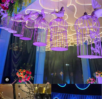 Lumineux Plafond Gaze Rideau LED Lumière Bande En Plein Air De Mariage Décoration Hôtel Plafond Décoration Rideaux Atmosphère De Fête