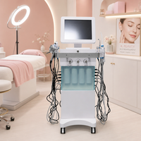 Appareil de soin du visage 14 en 1 avec jet d'oxygène, peeling au diamant, nettoyage en profondeur, microdermabrasion, hydrodermabrasion