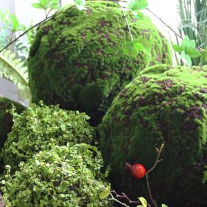 Plante Artificielle en Plastique Verte Suspendue Nouveauté 2026 – Articles de Décoration Intérieure, Grande Décoration Ornamentale pour Abri de Jardin et Mousse - Product Image 3