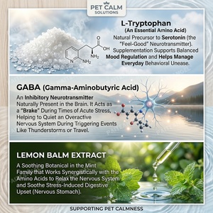 Complément OEM Apaisant pour Chiens et Chats : Capsules Calmantes à la L-Théanine et Ashwagandha – Formule Vétérinaire Marque Blanche - Product Image 3