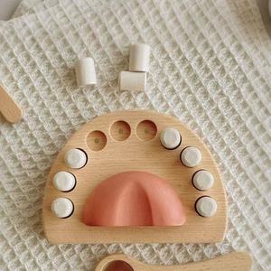 ของเล่นไม้บีชแท้สำหรับทันตแพทย์ ของเล่นดูแลฟัน ถอนฟัน ของเล่นไม้มอนเตสซอรี่สำหรับเด็กเล็ก อายุ 4-6 ปี - Product Image 4