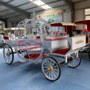 Nouvelle Conception 2026 : Carrosse Électrique Citrouille pour Événements Extérieurs, Mariages, Séances Photo, Parcs d'Attractions et Usage Touristique - Product Image 4