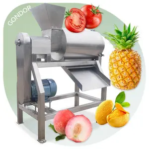 Hạt giống Remover nhỏ xoài quá trình đào nước trái cây bột giấy máy pulper despulpadora de frutas extractor