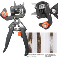 Outils de greffage de branches, cisailles de jardinage pour arbres fruitiers, cisailles de taille en acier inoxydable pour le jardinage