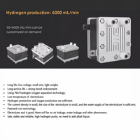 Cellule électrolytique PEM H2 de haute pureté, électrolyse de l'eau, électrolyseur, pile d'électrolyseurs, électrolyseur d'hydrogène