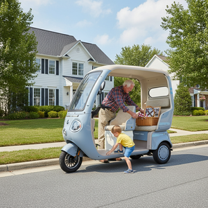 Tricycle électrique ouvert à trois roues Holladay 600W 72V, tricycle électrique de loisirs miniature à trois roues pour le transport de marchandises et de passagers - Product Image 2