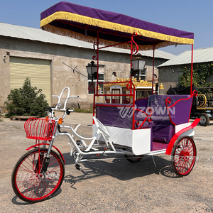 Venta de Fábrica: Carroza Rickshaw para Bodas y Paseos Turísticos Estilo Cenicienta con 1-2 Asientos - Product Image 3