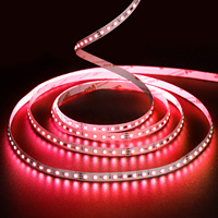 Bande LED RVB adressable SMD5050 WS2811 24V IP67 Ruban flexible étanche avec SM16703 TM1903 IC USB ROHS 5m