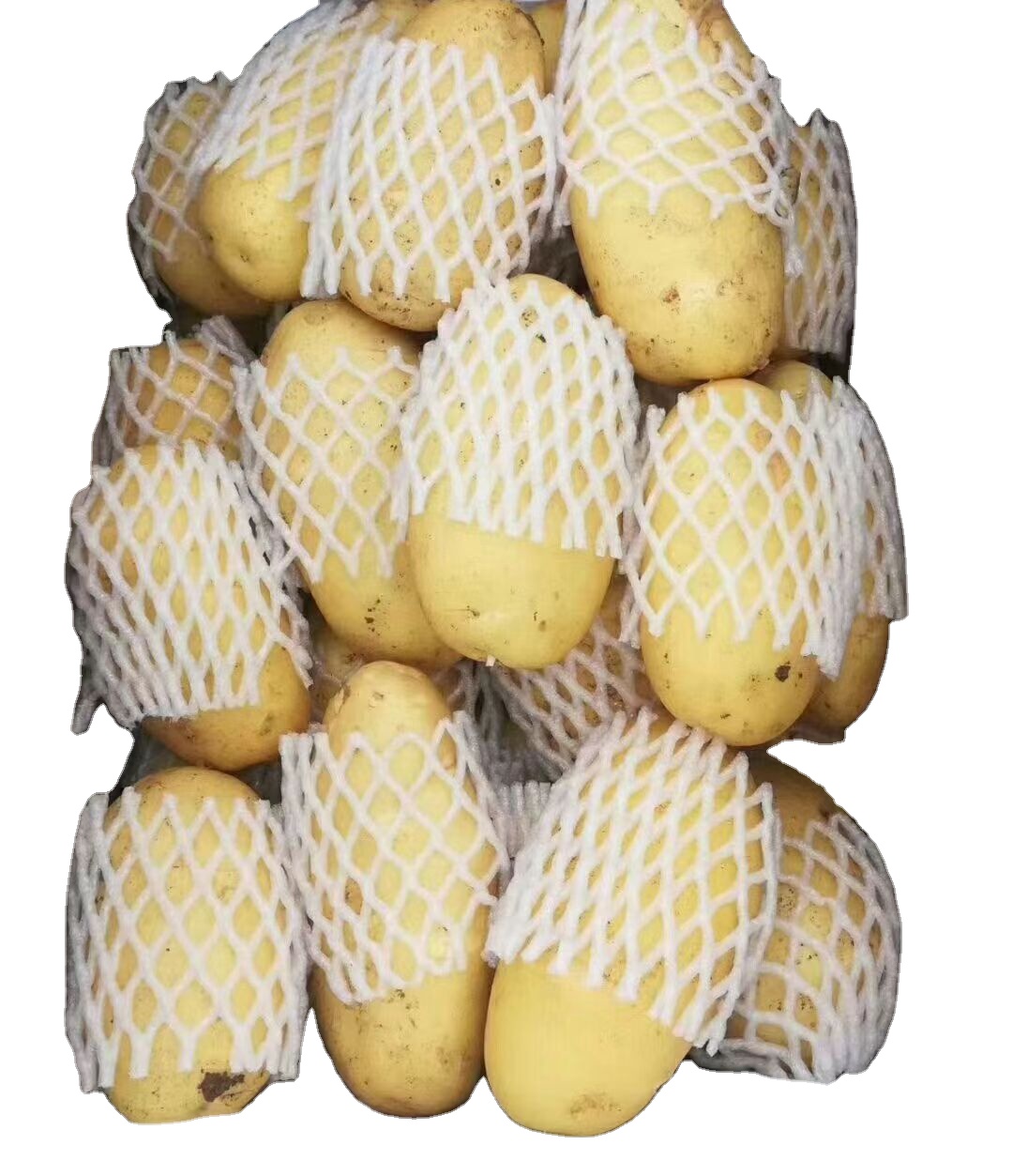 Новый Урожай свежего картофеля Голландии