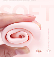 Happy Meeting Rose Vibrator für Frauen Großhandel Individuelles Logo Klitoris-Stimulator Mini Rose Saugvibrator Erotikspielzeug für Erwachsene