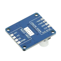 Module d'amplificateur numérique haute puissance Mono Classe D 4-8ohm DC 12V 24V 8V-24V pour haut-parleur 10W 20W 30W-300W DY-AP3001