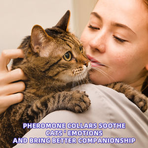 Collar calmante para gatos Comportamiento infundido con feromonas Soporte Lavanda de larga duración Efecto de 60 días Paquete de 4 ajustables e impermeables - Product Image 6