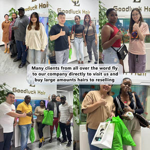 Pelucas de Cabello Humano Goodluck Double Drawn Raw Indian 99J Borgoña con Ondas Suaves, sin Pegamento, con Frente de Encaje Transparente HD - Product Image 5