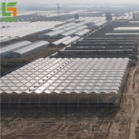 Moderne Commerciële Industrie Multi-Span Agrarische Kassen Gegalvaniseerd Stalen Frame Hydroponic Feature Pe Materiaal Voor Plant