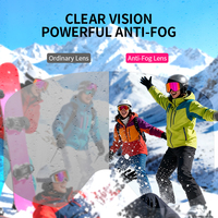 Lunettes de ski pour adultes, sport d'hiver, TPU anti-buée, UV400, lentilles magnétiques interchangeables, mousse et sangle détachables, vente en gros