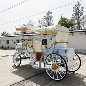 Chariot de Mariage Électrique Spécialement Préférentiel, Chariot Équestre Électrique de Tourisme en Gros pour Visites Panoramiques - Product Image 6