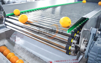 Volledig Automatische Sinaasappelverwerkingsmachine Ozonbelwasmachine Fruitborstelwasmachine Appelsorteer- en -graderingslijn