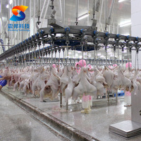 ZB volaille poulet boucherie plumeuse poitrine désossage aplatissement Machine abattage Machine traitement entièrement automatique