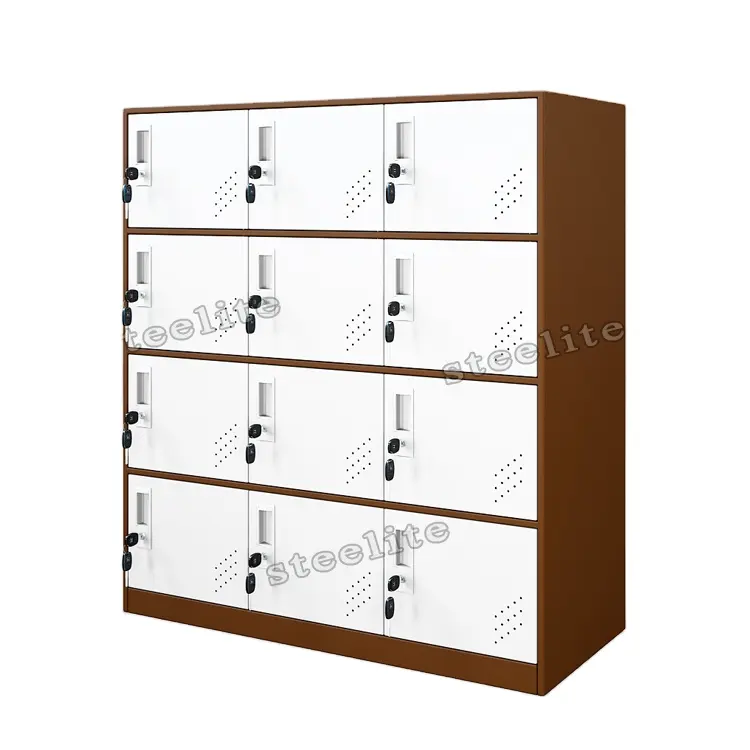 Đầy màu sắc 12 Cửa Tủ lưu trữ trường kim loại Locker