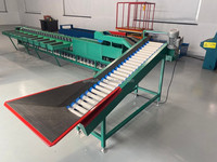 Commerciële Mango Sorteermachine, Oranje- en Citroensorteermachine, 10 gradaties fruit sorteermachine