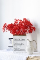 Fabrieksgroothandel Ge conserveerde Gypsophila Baby's Breath Eeuwigdurende - Hoge Kwaliteit Bloemmaterialen 120g/Pak Bulk Leverancier Bruiloft/Bureau
