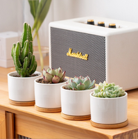 Pot Sukulen Keramik Xun Horticulture Sederhana Putih Porselen Berventilasi Grosir Logo Kustom