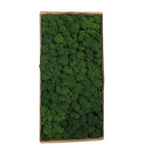 Plantas <span class=keywords><strong>Artificiales</strong></span>, Musgo Preservado, Musgo <span class=keywords><strong>de</strong></span> Reno, Decoración <span class=keywords><strong>de</strong></span> Pared, Jardín en Miniatura y Manualidades con Flores Preservadas - Product Image 1