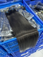 Lots de Cheveux Naturels Brésiliens Vierges 12A avec Cuticules Alignées, Cheveux Vietnamiens Bruts, Fournisseurs de Cheveux Vierges, Extensions de Cheveux Humains en Gros