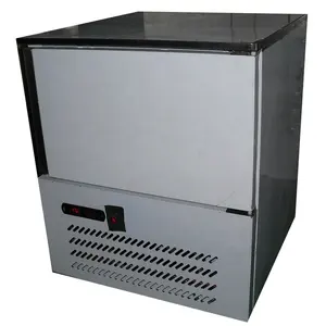 12 Kg Voedsel 3 Trays Mini Vlees Snelvriesmachine