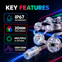 Luz LED Pixel GS8208 de 12V, 20mm, Impermeable, RGB, Direccionable, para Proyectos de Iluminación de Fachadas Exteriores, Venta al Por Mayor de Fábrica