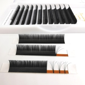 Meilleures ventes Flourishinglashes Cils classiques plats avec logo personnalisé Extensions <span class=keywords><strong>de</strong></span> cils du fournisseur chinois - Product Image 1