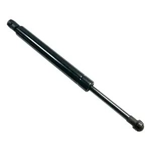 Amortisseur de coffre, Jetta A6, 2010-2014 - Product Image 2