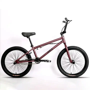 Vélo BMX Dirt <span class=keywords><strong>Jump</strong></span> 20 pouces pour la rue avec frein à disque et pédale ordinaire Bicicleta pour les passionnés de BMX - Product Image 4