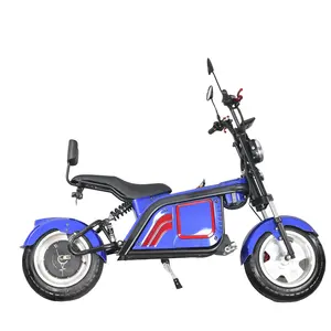 Mới! Big Power 2500 Wát Electric Scooter/Xe Máy Điện/Xe Đạp Điện