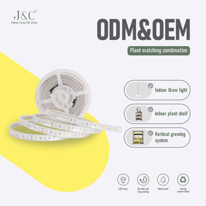 पूर्ण स्पेक्ट्रम के कारण हल्की पट्टी, इनडोर हाइड्रोपोनिक्स, ग्रीनहाउस और घरेलू बागवानी के लिए जलरोधक लचीला संयंत्र प्रकाश टेप - Product Image 1