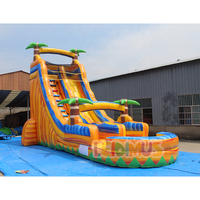 Toboggans aquatiques gonflables commerciaux colorés à thème, toboggan aquatique gonflable extérieur, toboggan gonflable géant en PVC pour aire de jeux aquatique